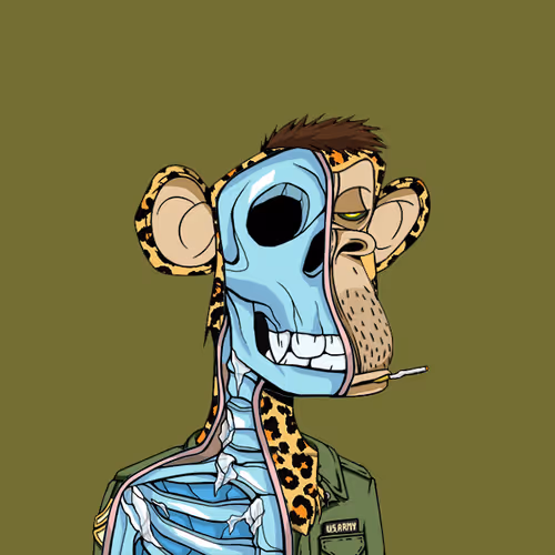 Anatomyscienceapeclub