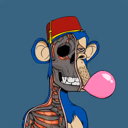 Anatomy Science Ape Club #7530