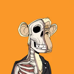 Anatomy Science Ape Club #7200