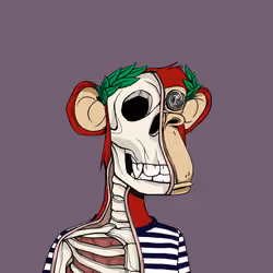Anatomy Science Ape Club #6480