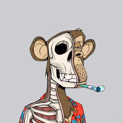 Anatomy Science Ape Club #5493