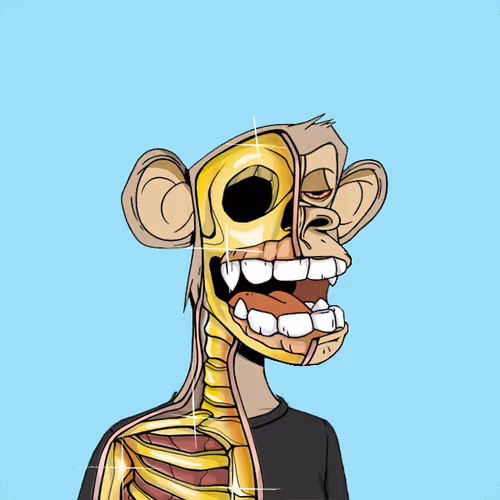 Anatomyscienceapeclub