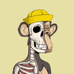 Anatomy Science Ape Club #459