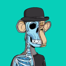 Anatomy Science Ape Club #17