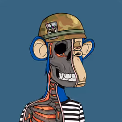 Anatomy Science Ape Club #6268