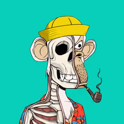 Anatomy Science Ape Club #2474