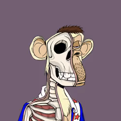 Anatomy Science Ape Club #5533
