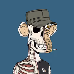 Anatomy Science Ape Club #6439