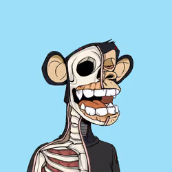 Anatomy Science Ape Club #5084