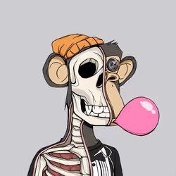Anatomy Science Ape Club #1444