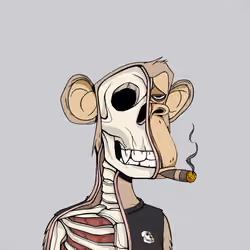 Anatomy Science Ape Club #2494