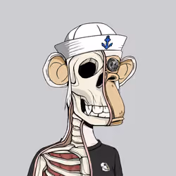 Anatomy Science Ape Club #5923