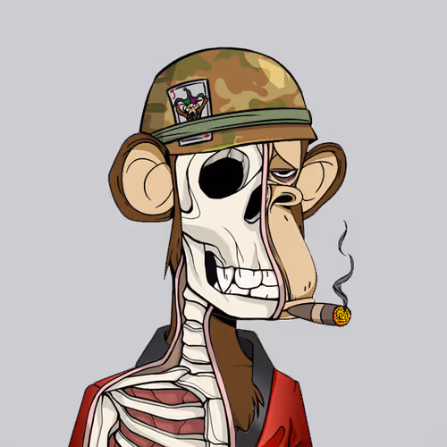 Anatomyscienceapeclub