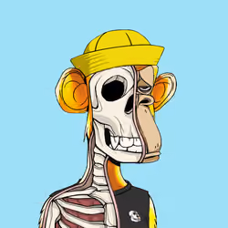 Anatomy Science Ape Club #2435