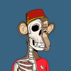 Anatomy Science Ape Club #4843
