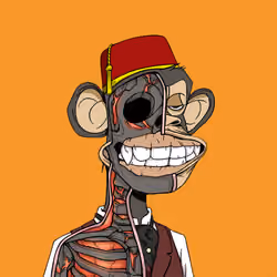 Anatomy Science Ape Club #2498
