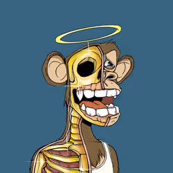 Anatomy Science Ape Club #29