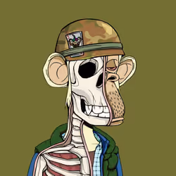 Anatomy Science Ape Club #6548