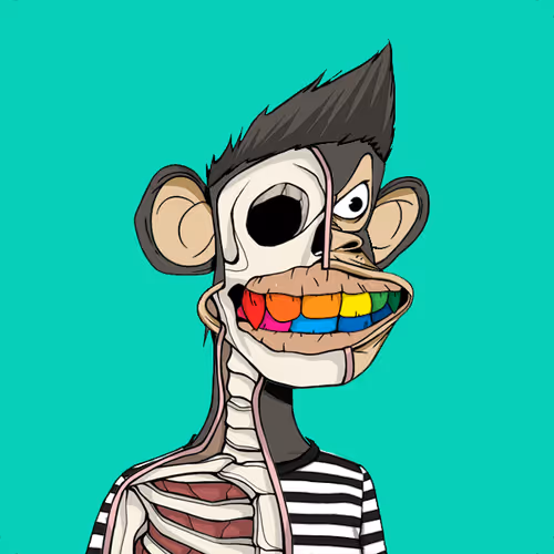 Anatomyscienceapeclub