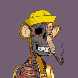 Anatomy Science Ape Club #4717