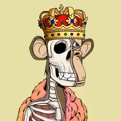 Anatomy Science Ape Club #456