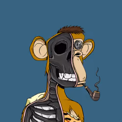 Anatomy Science Ape Club #6500