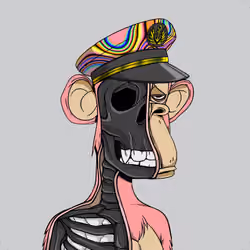 Anatomy Science Ape Club #3883