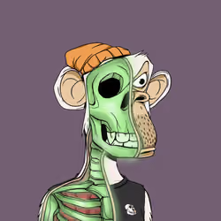 Anatomy Science Ape Club #4629