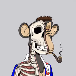 Anatomy Science Ape Club #4971