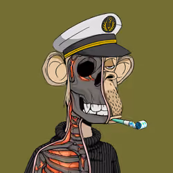 Anatomy Science Ape Club #4941
