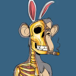 Anatomy Science Ape Club #804