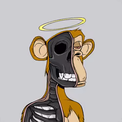 Anatomy Science Ape Club #991