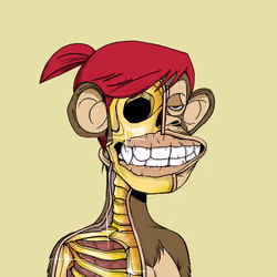 Anatomy Science Ape Club #6086