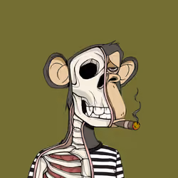 Anatomy Science Ape Club #5811