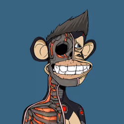 Anatomy Science Ape Club #7396