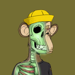 Anatomy Science Ape Club #5678