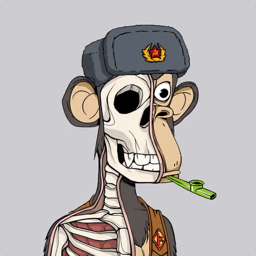Anatomy Science Ape Club #4934