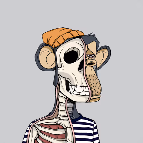 Anatomyscienceapeclub