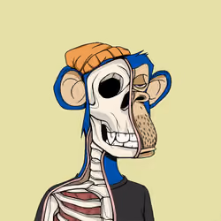 Anatomy Science Ape Club #5645