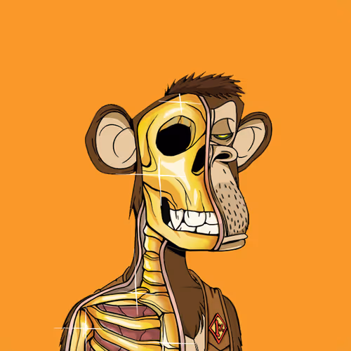 Anatomyscienceapeclub
