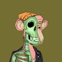 Anatomy Science Ape Club #1711