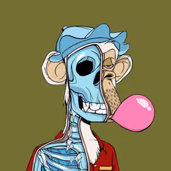 Anatomy Science Ape Club #2580