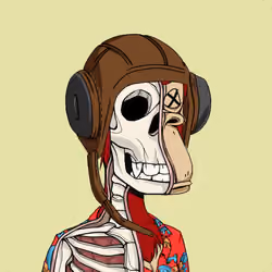 Anatomy Science Ape Club #3227
