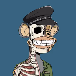 Anatomy Science Ape Club #6398