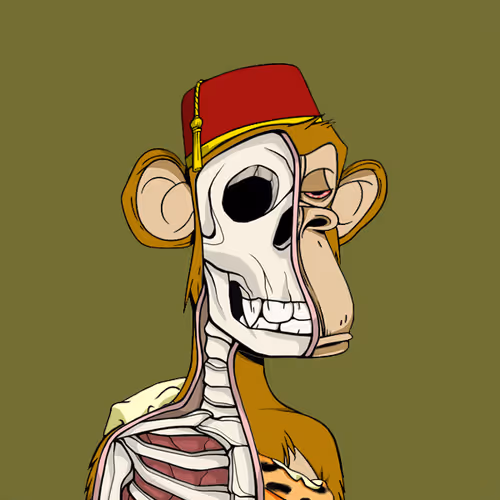 Anatomyscienceapeclub