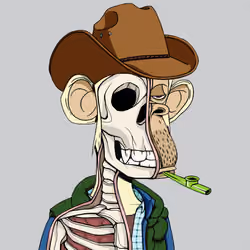 Anatomy Science Ape Club #4736