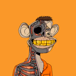 Anatomy Science Ape Club #2357