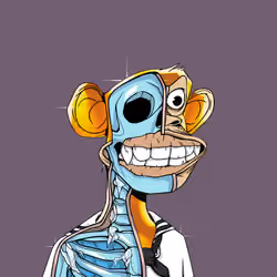 Anatomy Science Ape Club #6237