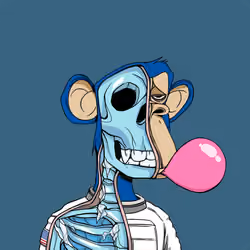 Anatomy Science Ape Club #380