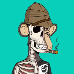 Anatomy Science Ape Club #7394